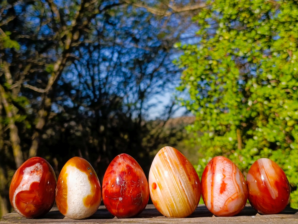 Polished Carnelian Agate Gemstone Eggs x 6 From Madagascar - Toprock Gemstones and Minerals 