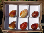Polished Carnelian Agate Gemstone Eggs x 6 From Madagascar - Toprock Gemstones and Minerals 