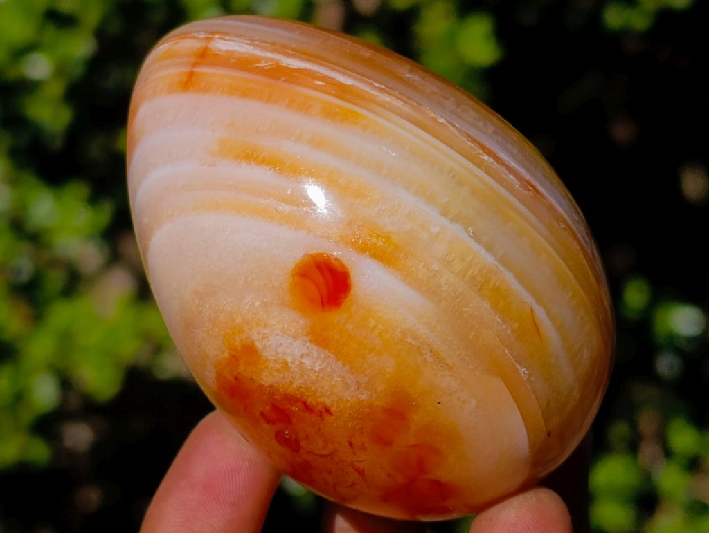 Polished Carnelian Agate Gemstone Eggs x 6 From Madagascar - Toprock Gemstones and Minerals 