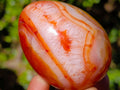 Polished Carnelian Agate Gemstone Eggs x 6 From Madagascar - Toprock Gemstones and Minerals 