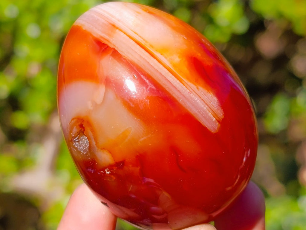 Polished Carnelian Agate Gemstone Eggs x 6 From Madagascar - Toprock Gemstones and Minerals 