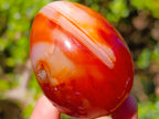 Polished Carnelian Agate Gemstone Eggs x 6 From Madagascar - Toprock Gemstones and Minerals 