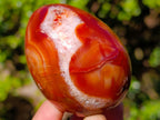 Polished Carnelian Agate Gemstone Eggs x 6 From Madagascar - Toprock Gemstones and Minerals 
