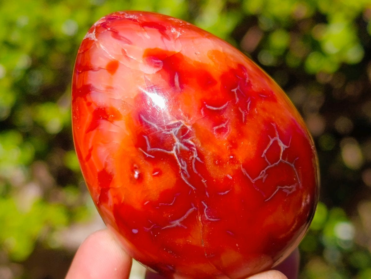 Polished Carnelian Agate Gemstone Eggs x 6 From Madagascar - Toprock Gemstones and Minerals 