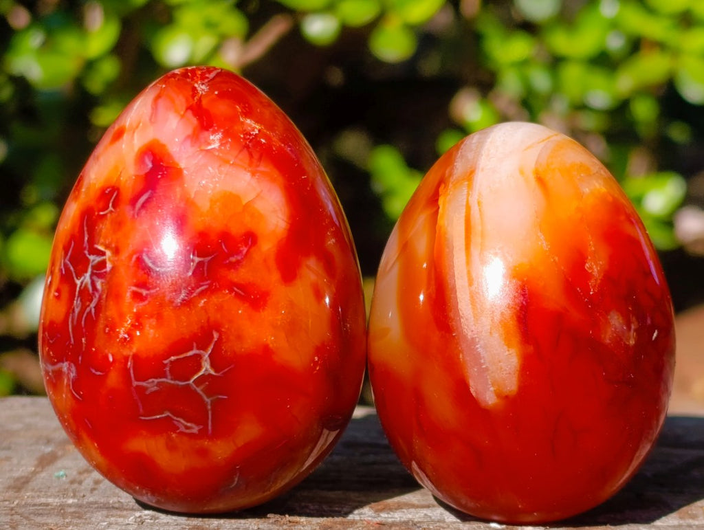 Polished Carnelian Agate Gemstone Eggs x 6 From Madagascar - Toprock Gemstones and Minerals 