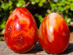 Polished Carnelian Agate Gemstone Eggs x 6 From Madagascar - Toprock Gemstones and Minerals 