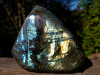 Polished Large Labradorite Standing Display Piece x 1 From Madagascar - Toprock Gemstones and Minerals 