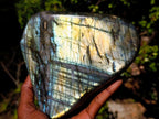 Polished Large Labradorite Standing Display Piece x 1 From Madagascar - Toprock Gemstones and Minerals 