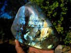 Polished Large Labradorite Standing Display Piece x 1 From Madagascar - Toprock Gemstones and Minerals 