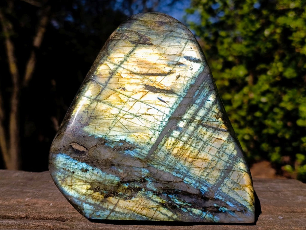 Polished Large Labradorite Standing Display Piece x 1 From Madagascar - Toprock Gemstones and Minerals 