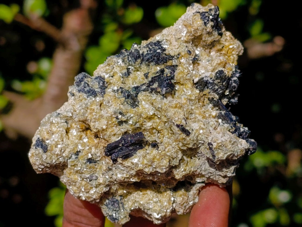 Natural Schorl Black Tourmaline Specimens with Muscovite Mica x 6 From Erongo, Namibia - Toprock Gemstones and Minerals 