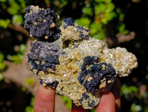 Natural Schorl Black Tourmaline Specimens with Muscovite Mica x 6 From Erongo, Namibia - Toprock Gemstones and Minerals 