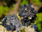 Natural Schorl Black Tourmaline Specimens with Muscovite Mica x 6 From Erongo, Namibia - Toprock Gemstones and Minerals 