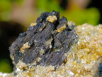 Natural Schorl Black Tourmaline Specimens with Muscovite Mica x 6 From Erongo, Namibia - Toprock Gemstones and Minerals 