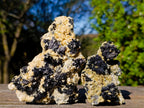Natural Schorl Black Tourmaline Specimens with Muscovite Mica x 6 From Erongo, Namibia - Toprock Gemstones and Minerals 