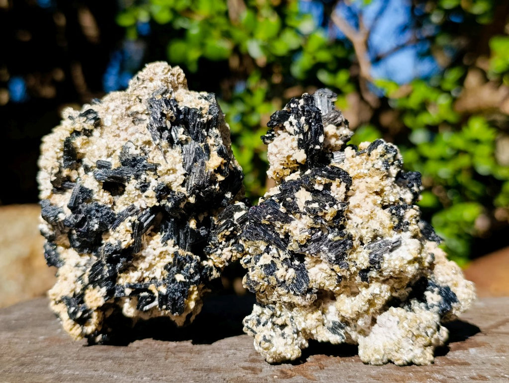 Natural Schorl Black Tourmaline Specimens with Muscovite Mica x 6 From Erongo, Namibia - Toprock Gemstones and Minerals 