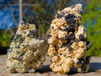 Natural Schorl Black Tourmaline Specimens with Muscovite Mica x 6 From Erongo, Namibia - Toprock Gemstones and Minerals 