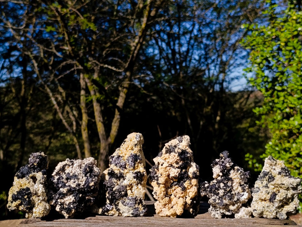 Natural Schorl Black Tourmaline Specimens with Muscovite Mica x 6 From Erongo, Namibia - Toprock Gemstones and Minerals 