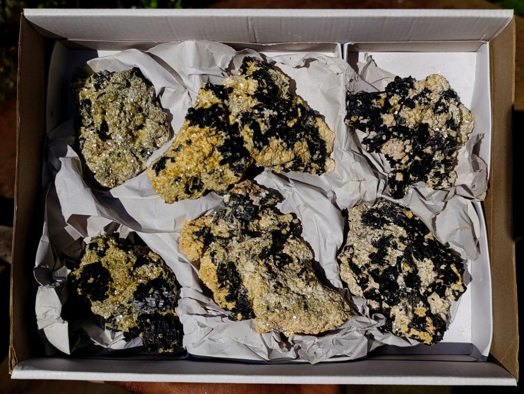 Natural Schorl Black Tourmaline Specimens with Muscovite Mica x 6 From Erongo, Namibia - Toprock Gemstones and Minerals 