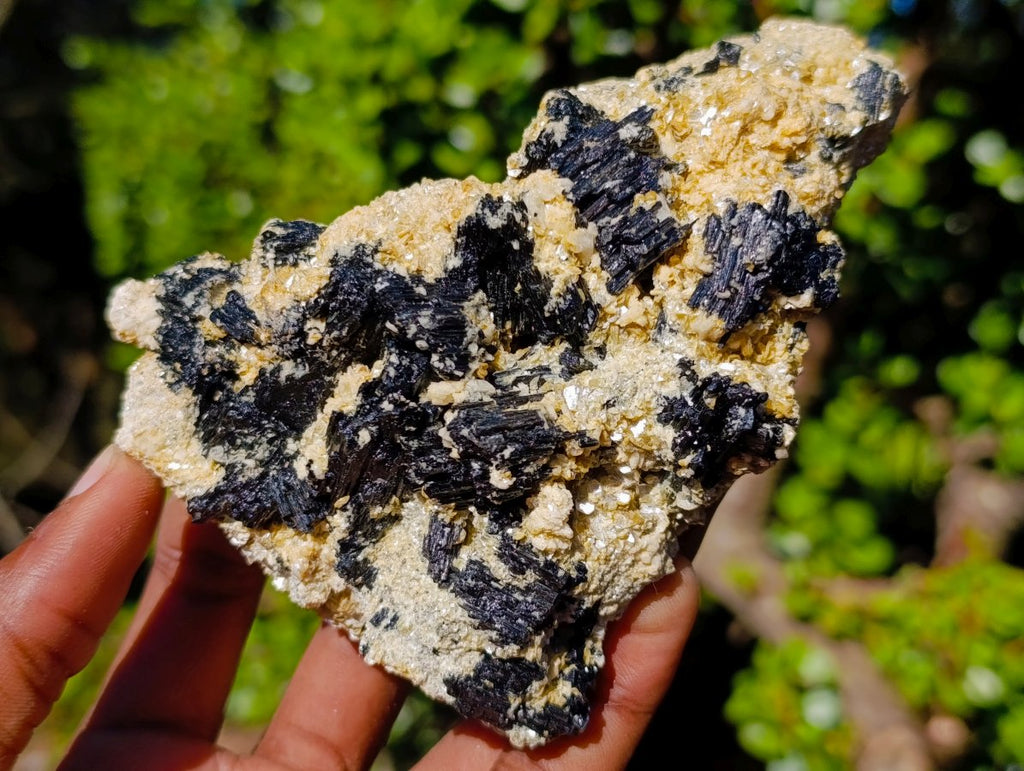 Natural Schorl Black Tourmaline Specimens with Muscovite Mica x 6 From Erongo, Namibia - Toprock Gemstones and Minerals 