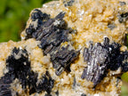 Natural Schorl Black Tourmaline Specimens with Muscovite Mica x 6 From Erongo, Namibia - Toprock Gemstones and Minerals 