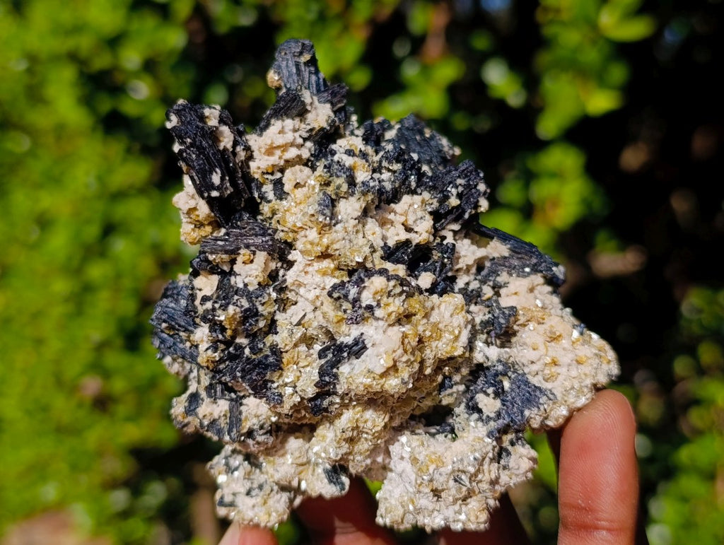 Natural Schorl Black Tourmaline Specimens with Muscovite Mica x 6 From Erongo, Namibia - Toprock Gemstones and Minerals 