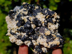 Natural Schorl Black Tourmaline Specimens with Muscovite Mica x 6 From Erongo, Namibia - Toprock Gemstones and Minerals 