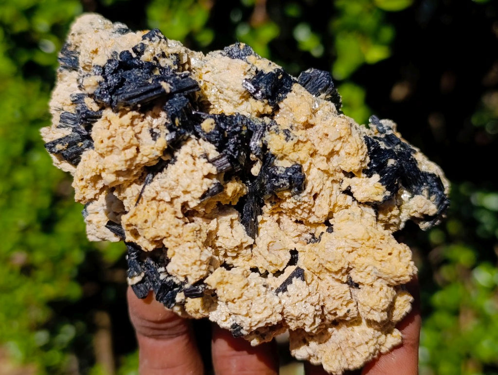 Natural Schorl Black Tourmaline Specimens with Muscovite Mica x 6 From Erongo, Namibia - Toprock Gemstones and Minerals 