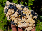 Natural Schorl Black Tourmaline Specimens with Muscovite Mica x 6 From Erongo, Namibia - Toprock Gemstones and Minerals 
