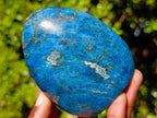 Polished Blue Apatite Standing Display Pieces x 6 From Betroka, Madagascar - Toprock Gemstones and Minerals 