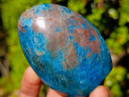 Polished Blue Apatite Standing Display Pieces x 6 From Betroka, Madagascar - Toprock Gemstones and Minerals 