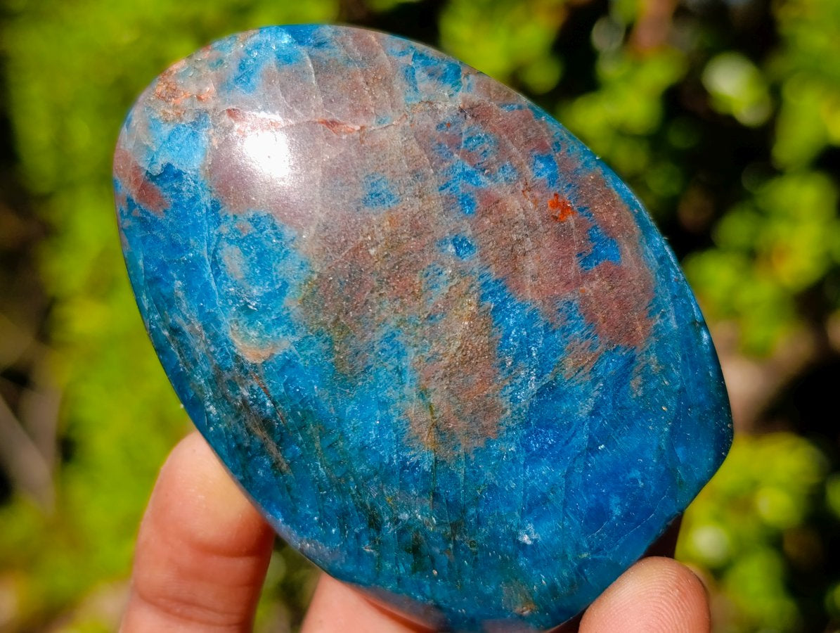 Polished Blue Apatite Standing Display Pieces x 6 From Betroka, Madagascar - Toprock Gemstones and Minerals 