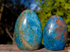 Polished Blue Apatite Standing Display Pieces x 6 From Betroka, Madagascar - Toprock Gemstones and Minerals 