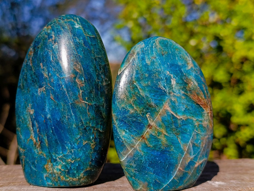 Polished Blue Apatite Standing Display Pieces x 6 From Betroka, Madagascar - Toprock Gemstones and Minerals 