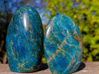 Polished Blue Apatite Standing Display Pieces x 6 From Betroka, Madagascar - Toprock Gemstones and Minerals 