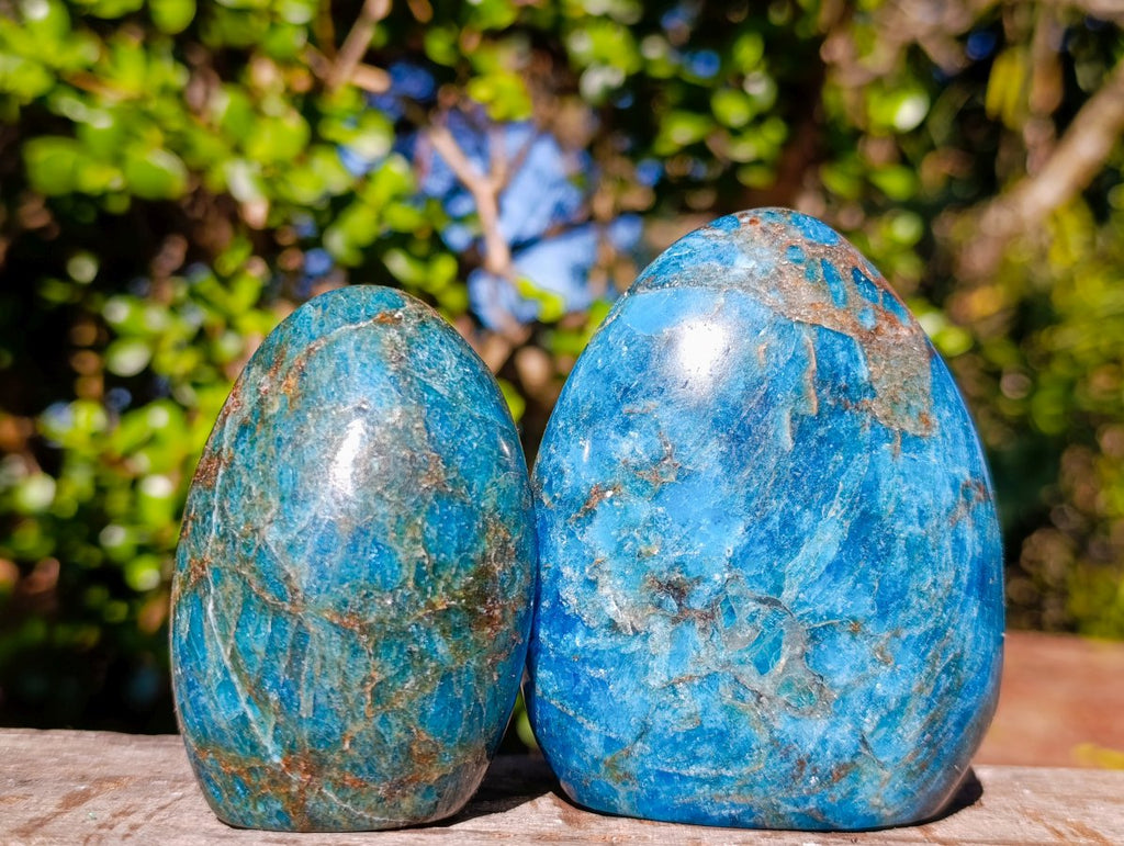 Polished Blue Apatite Standing Display Pieces x 6 From Betroka, Madagascar - Toprock Gemstones and Minerals 
