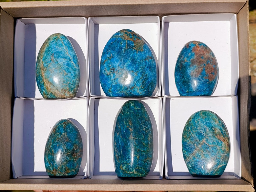 Polished Blue Apatite Standing Display Pieces x 6 From Betroka, Madagascar - Toprock Gemstones and Minerals 