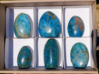 Polished Blue Apatite Standing Display Pieces x 6 From Betroka, Madagascar - Toprock Gemstones and Minerals 