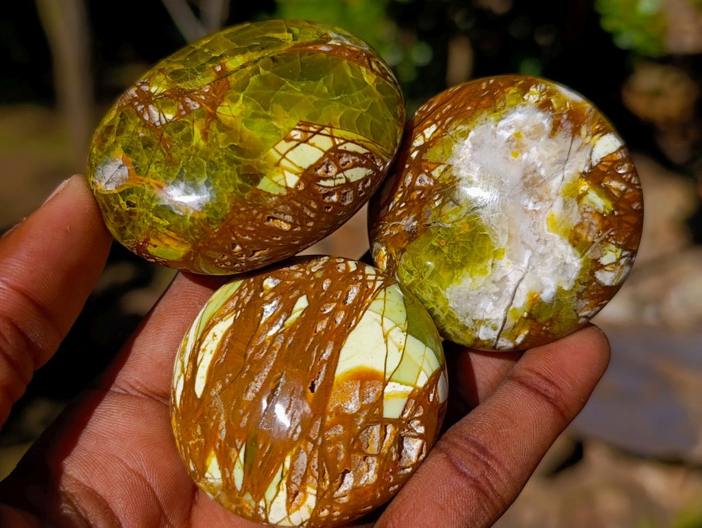 Polished Green Opal Palm Stones x 24 From Betroka, Madagascar - Toprock Gemstones and Minerals 