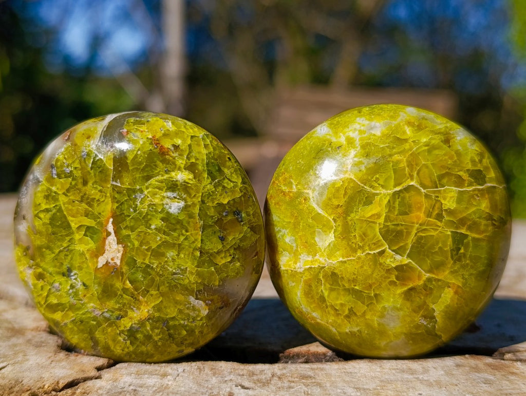 Polished Green Opal Palm Stones x 24 From Betroka, Madagascar - Toprock Gemstones and Minerals 