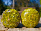 Polished Green Opal Palm Stones x 24 From Betroka, Madagascar - Toprock Gemstones and Minerals 