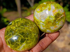 Polished Green Opal Palm Stones x 24 From Betroka, Madagascar - Toprock Gemstones and Minerals 