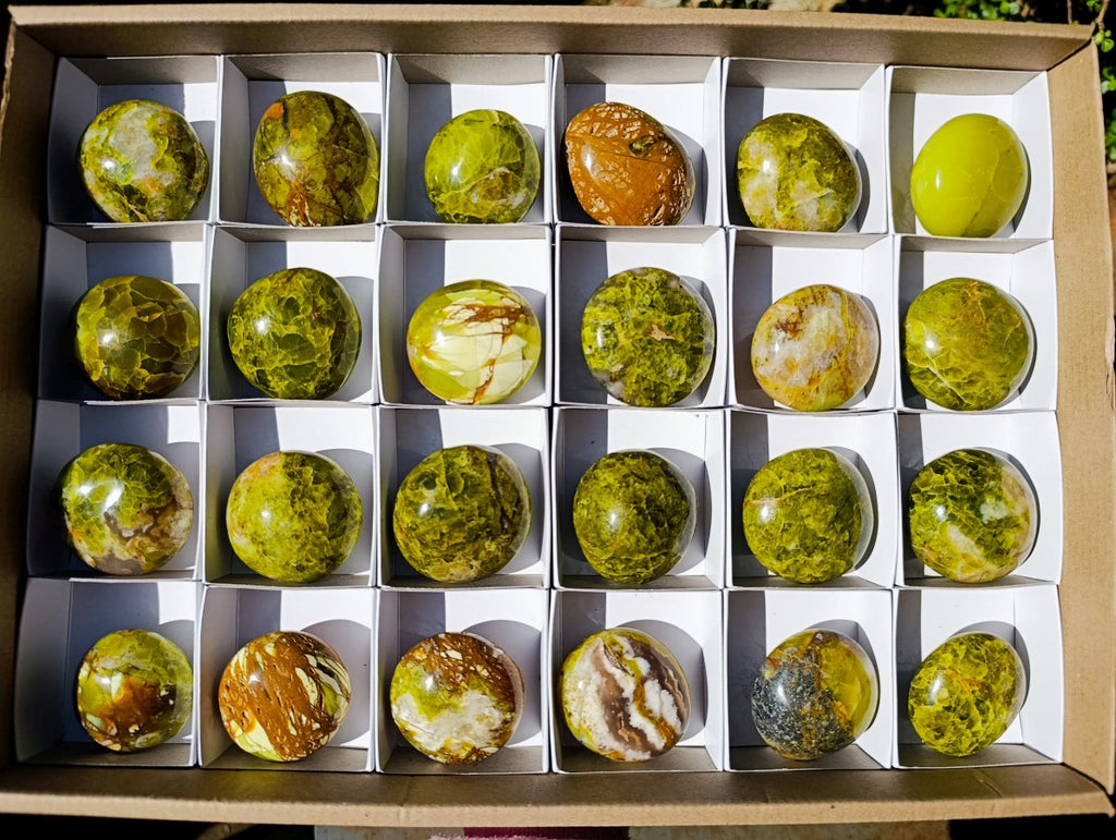 Polished Green Opal Palm Stones x 24 From Betroka, Madagascar - Toprock Gemstones and Minerals 