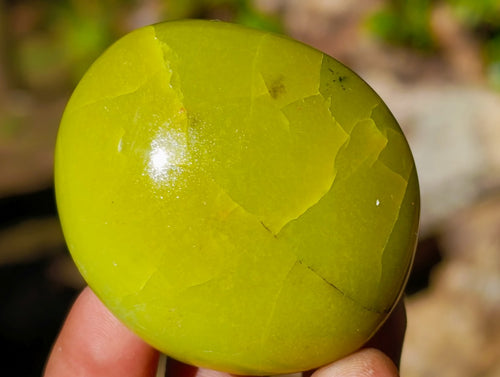 Polished Green Opal Palm Stones x 24 From Betroka, Madagascar - Toprock Gemstones and Minerals 
