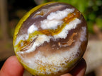 Polished Green Opal Palm Stones x 24 From Betroka, Madagascar - Toprock Gemstones and Minerals 