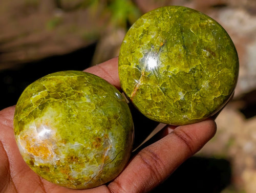 Polished Green Opal Palm Stones x 24 From Betroka, Madagascar - Toprock Gemstones and Minerals 