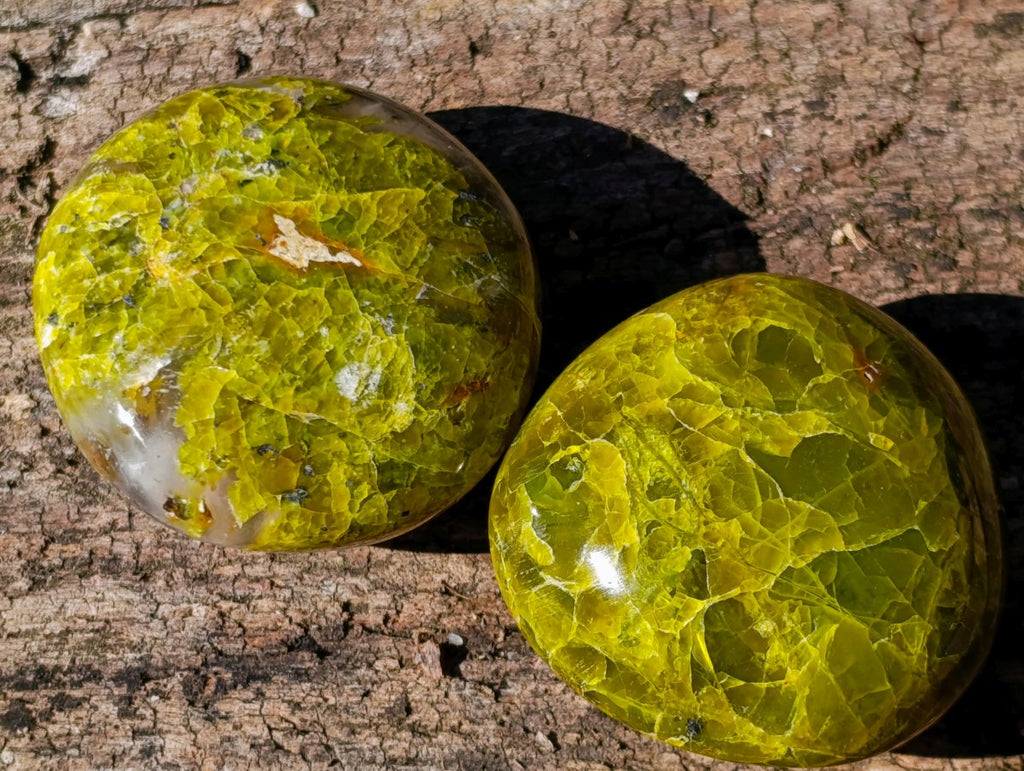 Polished Green Opal Palm Stones x 24 From Betroka, Madagascar - Toprock Gemstones and Minerals 