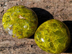Polished Green Opal Palm Stones x 24 From Betroka, Madagascar - Toprock Gemstones and Minerals 
