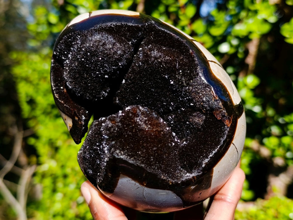 Polished Septerye Sauvage "Dragons Eggs" Geode x 3 From Mahajanga, Madagascar - Toprock Gemstones and Minerals 