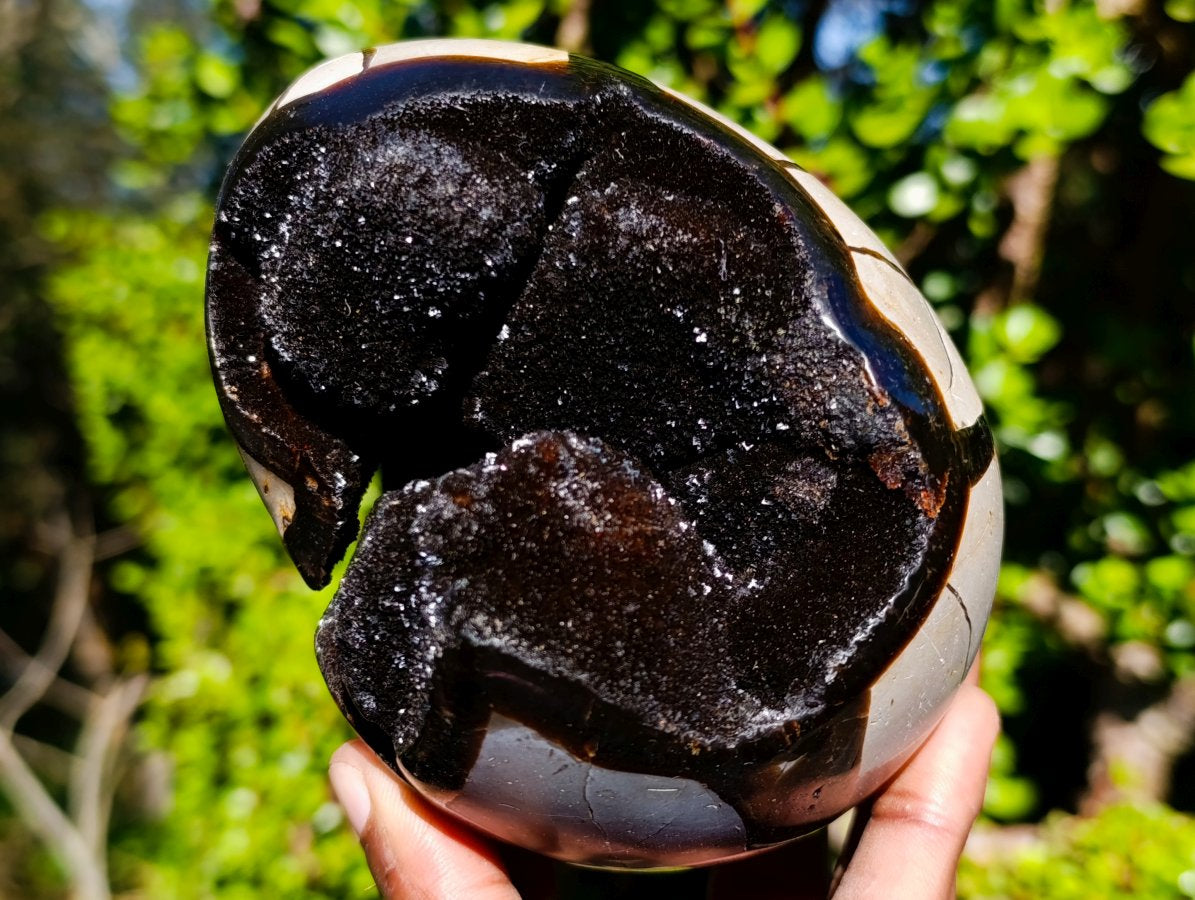 Polished Septerye Sauvage "Dragons Eggs" Geode x 3 From Mahajanga, Madagascar - Toprock Gemstones and Minerals 